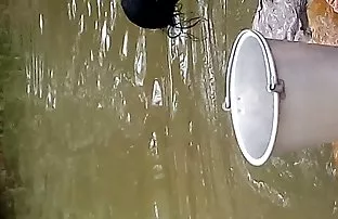 XXX કૃપા કરીને તેની પત્ની સાથે વાયબ્રેટર