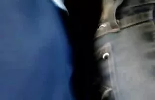 XXX પુખ્ત લેસ્બિયન licks યુવાન વાળ વાળુ pubis