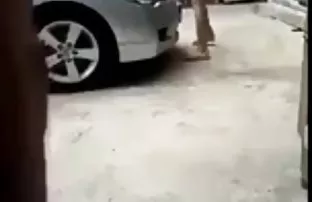 XXX Spanked સાથે એક પટ્ટો અને નીચે પડી ગયા પર ભોસ ચુત