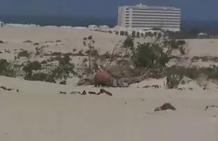 XXX આપ્યો suck કે ચરબી મહિલા સ્નાન છે અને હું છોકરી ના મોં માં વિર્ય પાણીછોકરી ના મોં પર કોચથી