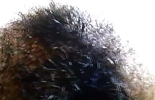 XXX હોટ બોસ સજા વાહિયાત મારા એકાઉન્ટન્ટ