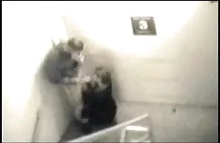 XXX ચોકીદાર મૂકી ઊંઘી આ ઓફિસ માં સુંદર છોકરી